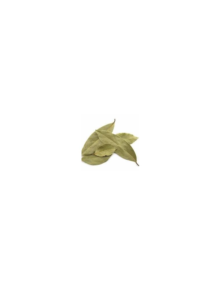 Laurel Santa Catalina 75 gr.