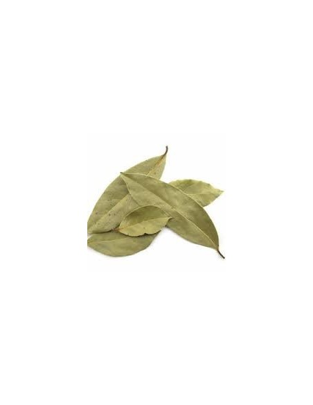 Laurel St. Catherine 75 gr.