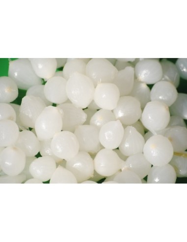 Cebolletas en vinagre Josango garrafa 1,4 kg.