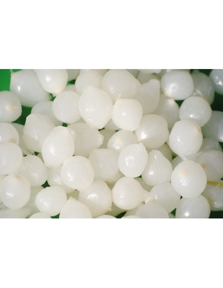 Cebolletas en vinagre Josango garrafa 1,4 kg.