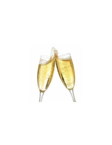 Cava Freixenet Nature Carta Nevada 75 cl.