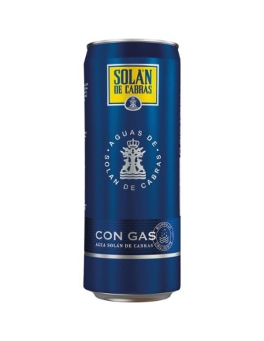 Agua mineral con gas Solán de Cabras 33 cl