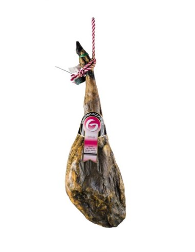 Iberian field bait ham Gregorio Rodríguez 8 a 8,5 kg.