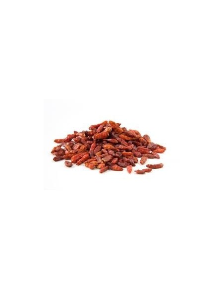 Poivrons Cayenne Carmencita 18 gr.
