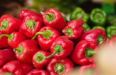 Les poivrons du Piquillo, un trésor gastronomique espagnol
