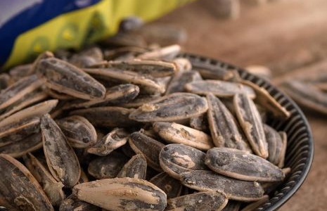 Piponazo de Grefusa : la saveur irrésistible de la graine de tournesol parfaite