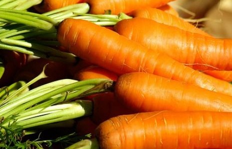 Conserves de légumes Gutarra, le goût du jardin