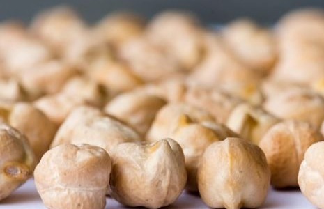 Legumbres Montes, la meilleure saveur des légumineuses espagnoles