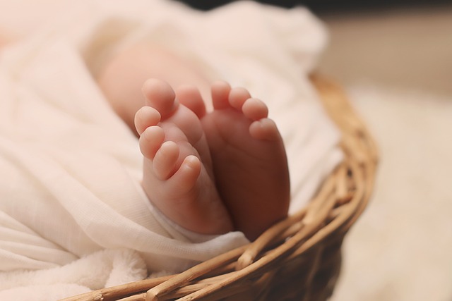 Des petits pots pour bébé, votre nourriture pour bébé toujours prête