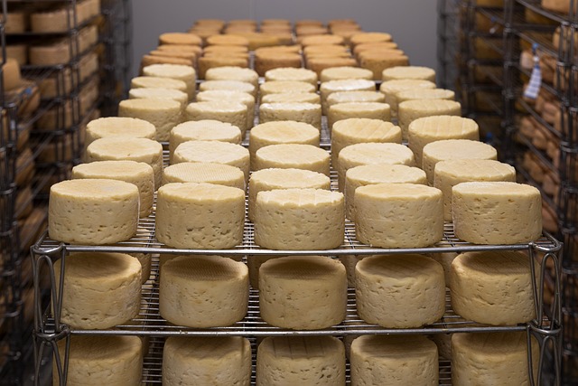 Fromage Idiazábal, l´appellation d´origine des fromages navarrais et basques ​