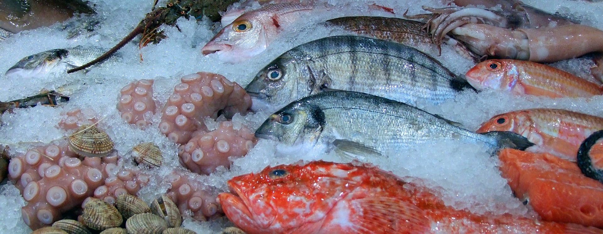 The Spaniards, the largest consumers of fish in the European Union