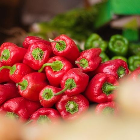 Les poivrons du Piquillo, un trésor gastronomique espagnol