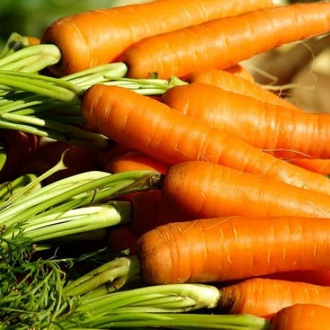 Conserves de légumes Gutarra, le goût du jardin