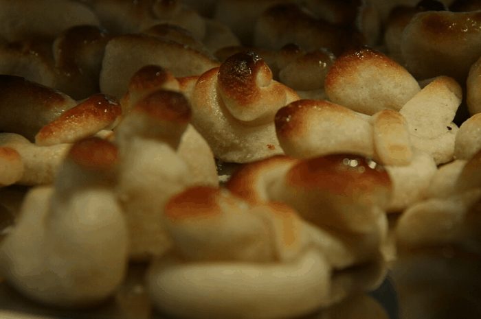 Achetez du massepain de Noël