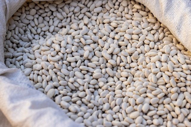 Recipes with white beans, a classic legume
